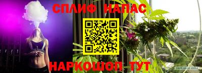 гашик Бугуруслан