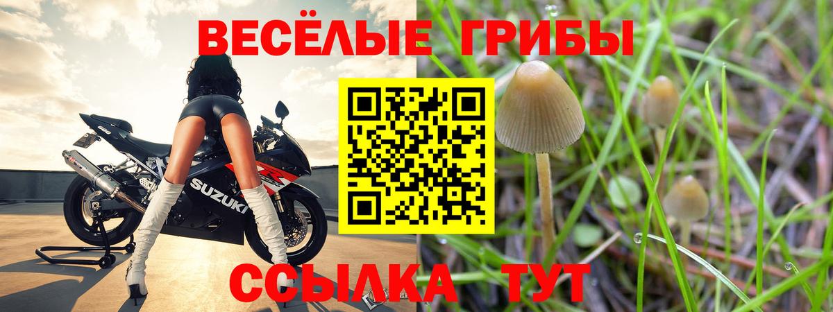 Галлюциногенные грибы MAGIC MUSHROOMS  Вход с VPN  Елабуга  закладка  Галлюциногенные грибы Psilocybe 