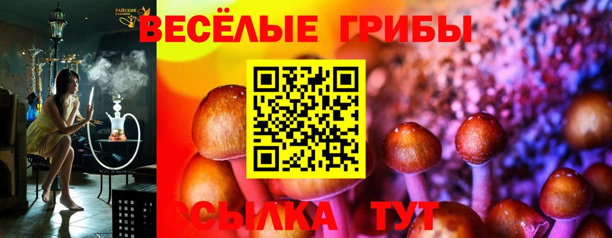 Псилоцибиновые грибы прущие грибы  Псилоцибиновые грибы прущие грибы  Елабуга 